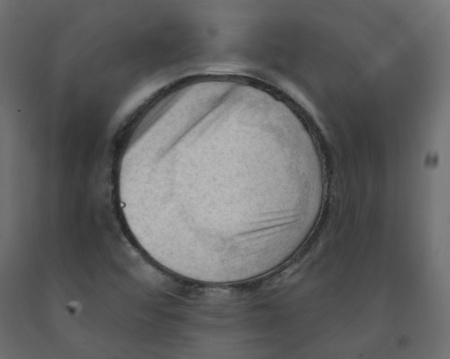 X0000091971456200710041039