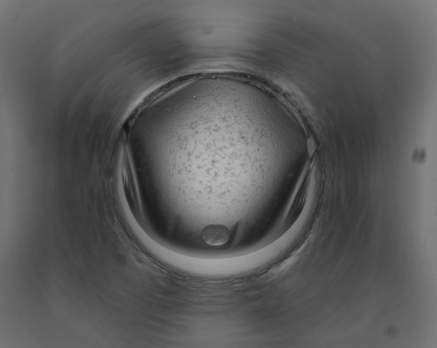 X0000091971457200710041039