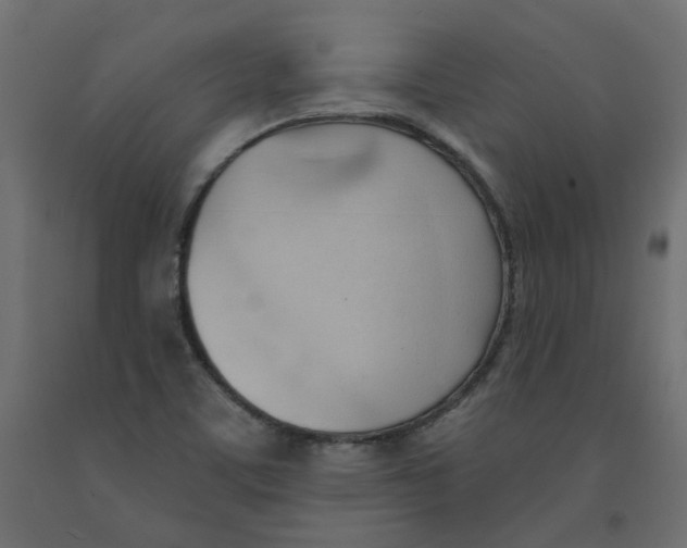 X0000091971459200710041039