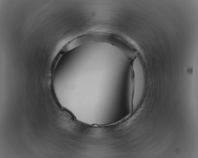 X0000091971461200710041039