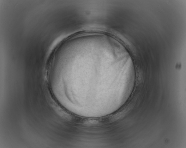 X0000091971462200710041039