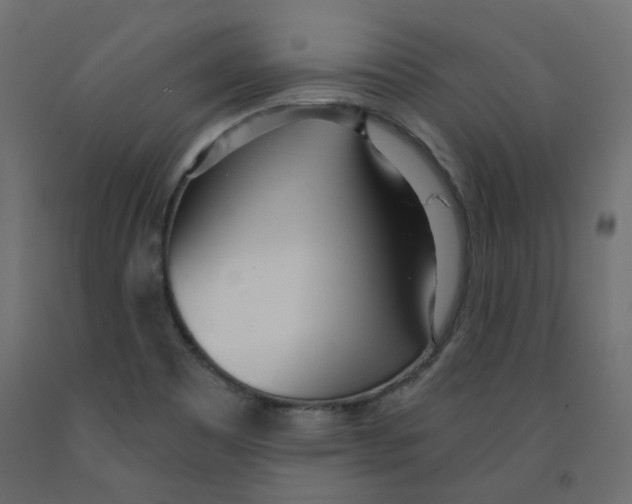 X0000091971465200710041039