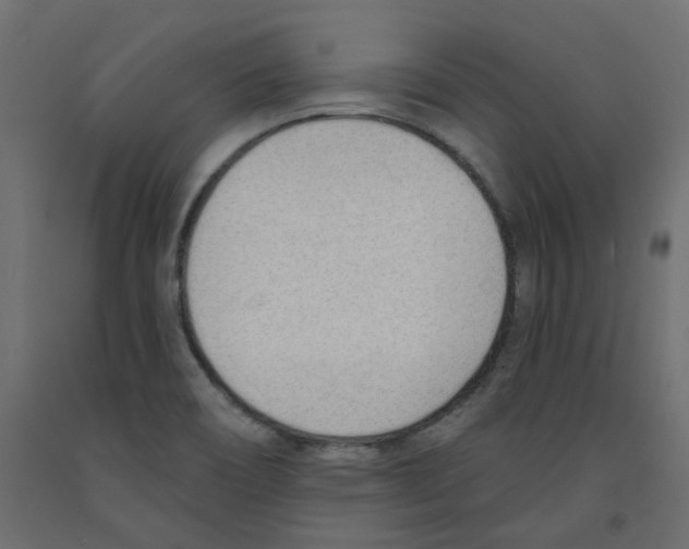 X0000091971466200710041039
