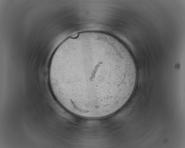 X0000091971467200710041039