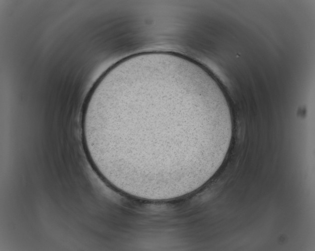 X0000091971468200710041039