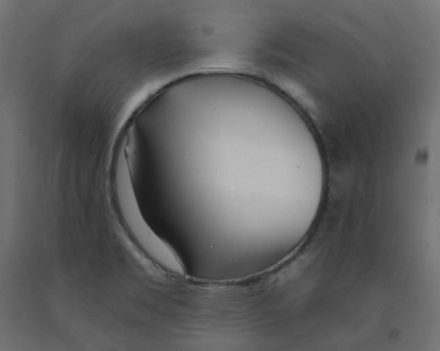 X0000091971469200710041039