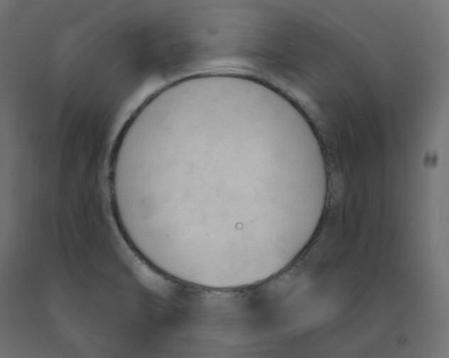 X0000091971470200710041039