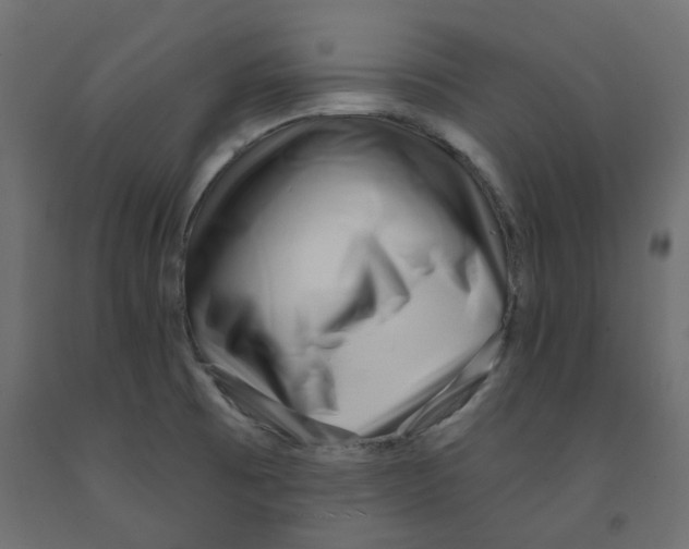 X0000091971473200710041039