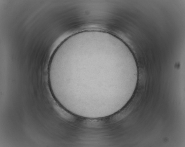 X0000091971474200710041039