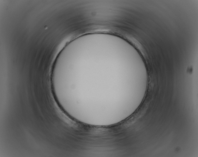 X0000091971475200710041039