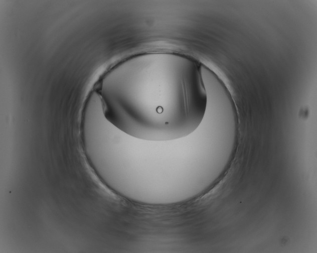 X0000091971477200710041039