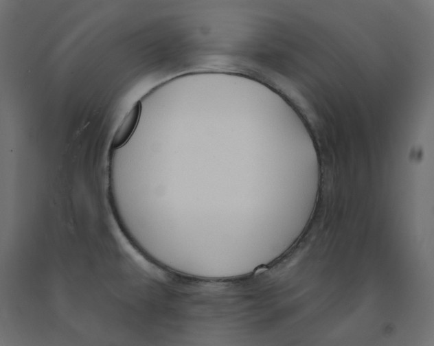 X0000091971479200710041039