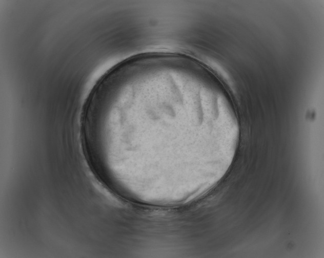 X0000091971480200710041039