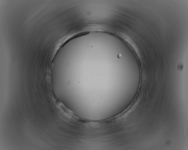 X0000091971481200710041039