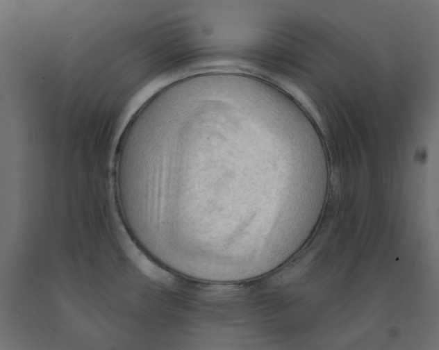 X0000091971482200710041039