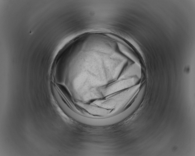 X0000091971485200710041039