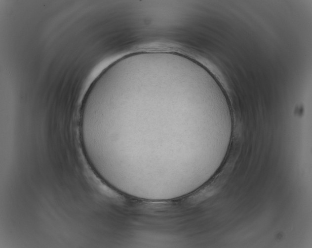 X0000091971486200710041039