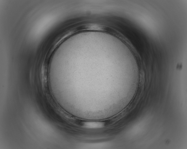 X0000091971487200710041039