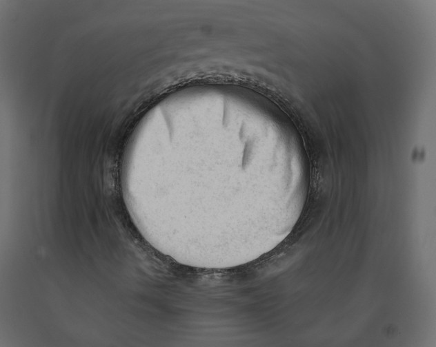 X0000091971490200710041038