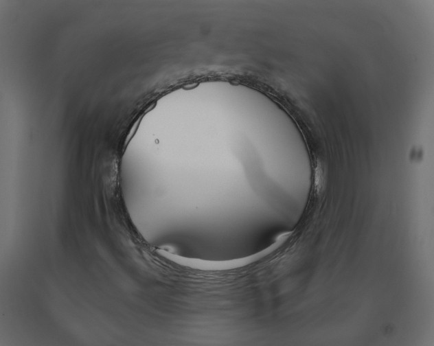 X0000091971492200710041038