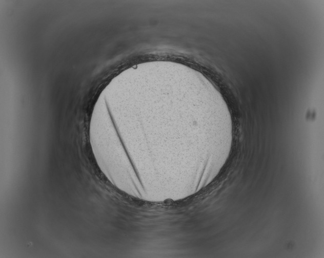 X0000091971493200710041038