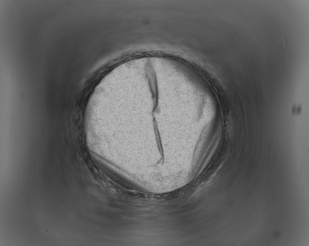 X0000091971494200710041038