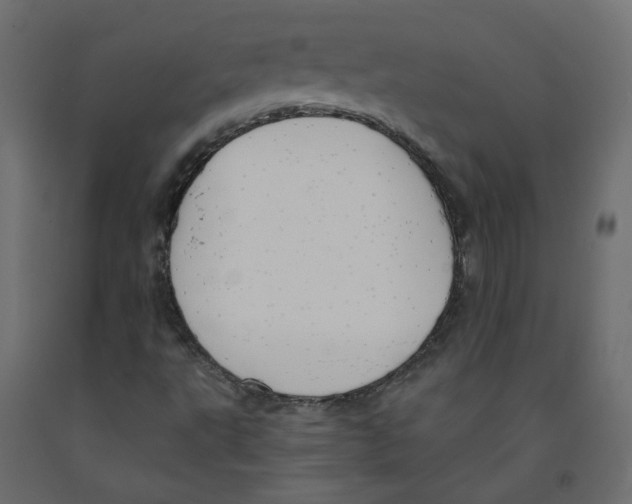 X0000091971495200710041038