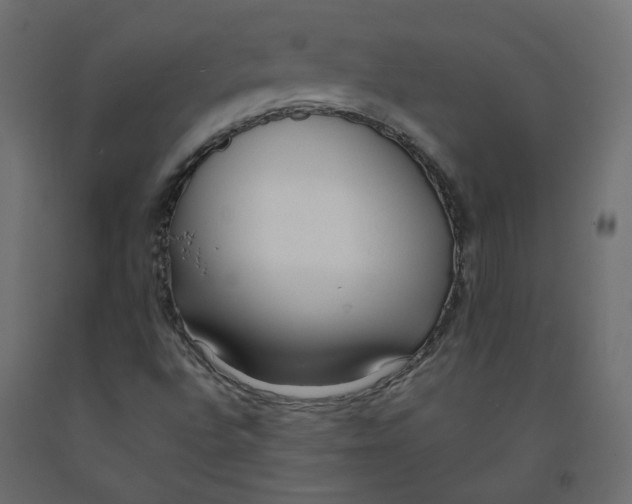 X0000091971496200710041038