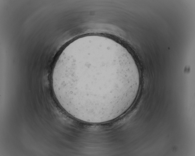 X0000091971497200710041038