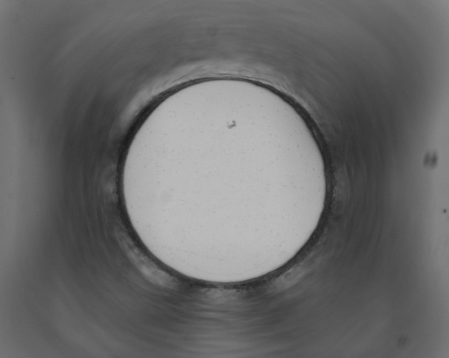X0000091971499200710041038