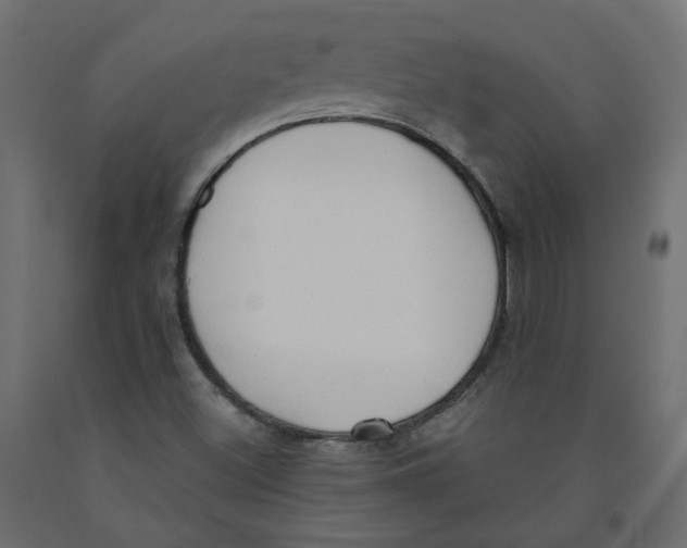 X0000091971500200710041038