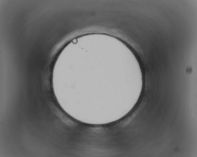 X0000091971502200710041038