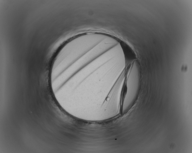 X0000091971503200710041038