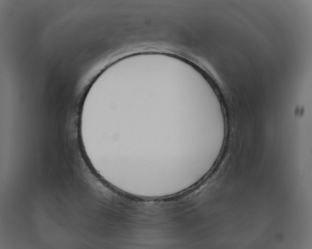 X0000091971504200710041038