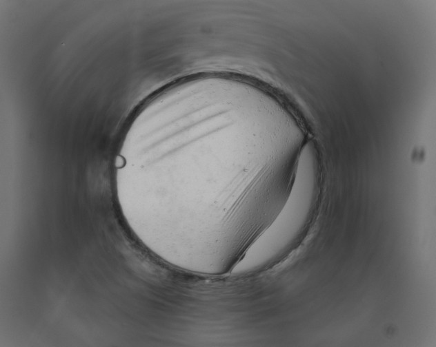 X0000091971505200710041038