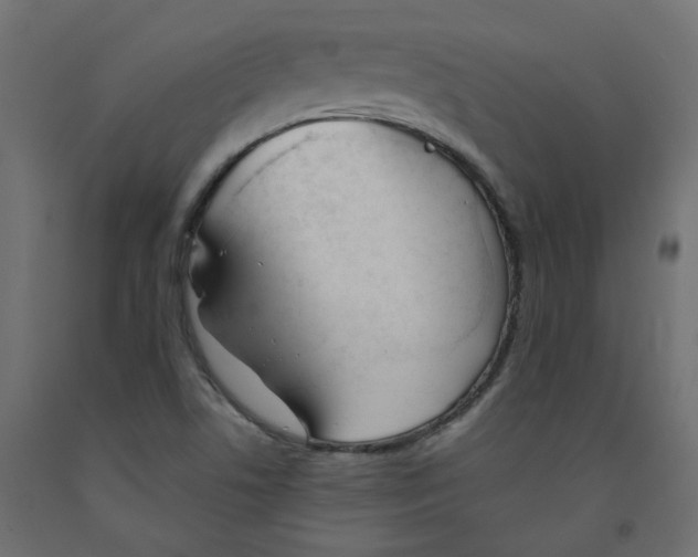 X0000091971506200710041038