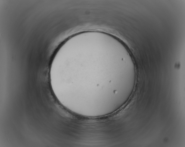 X0000091971507200710041038