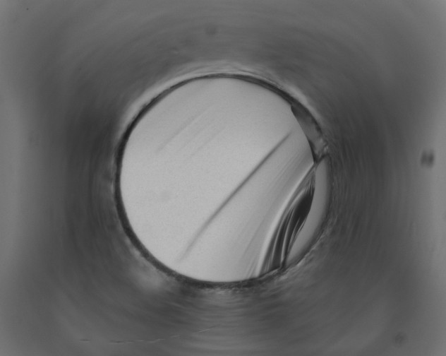 X0000091971508200710041038