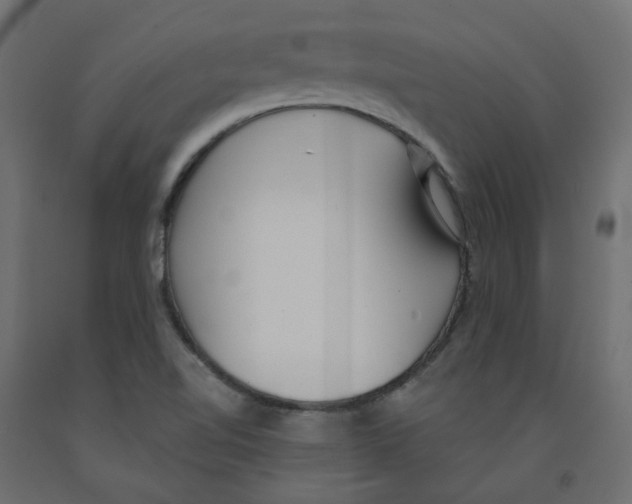 X0000091971510200710041038