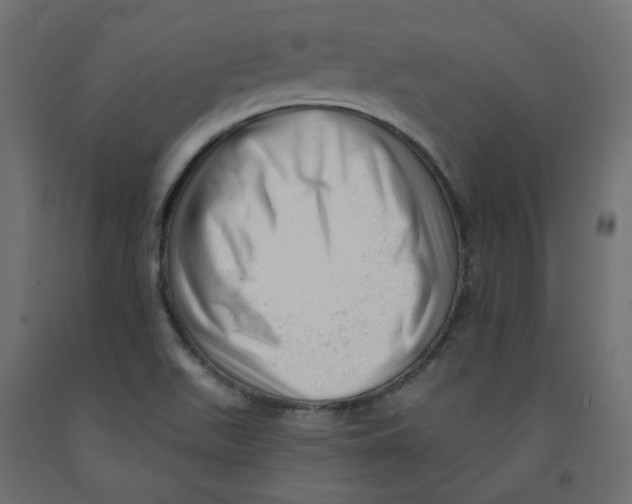 X0000091971511200710041039