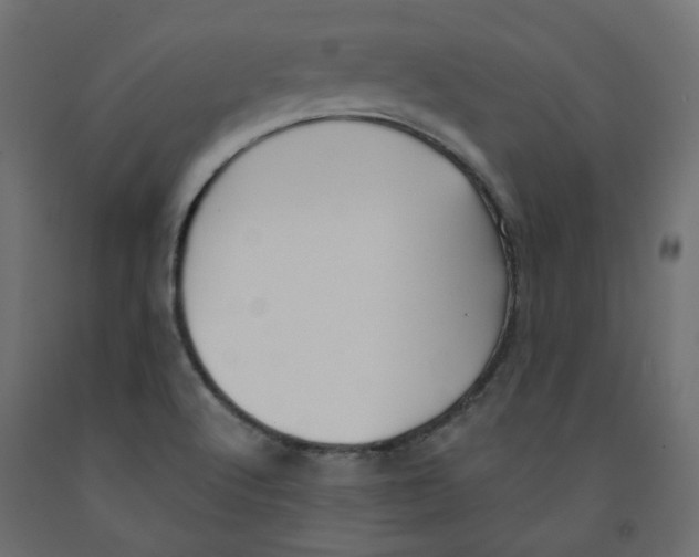 X0000091971512200710041039