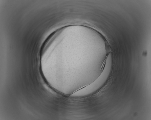 X0000091971515200710041039