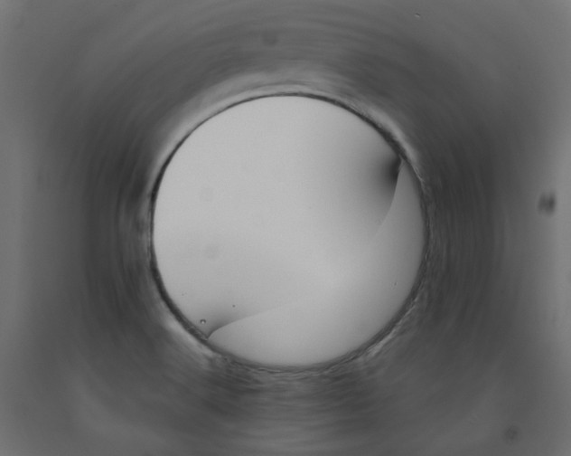 X0000091971516200710041039