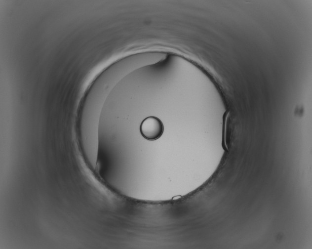X0000091971518200710041039