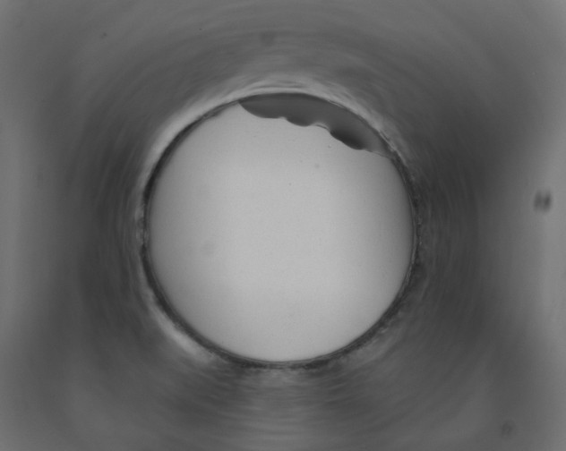X0000091971519200710041039