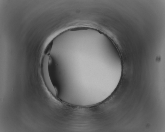 X0000091971520200710041039