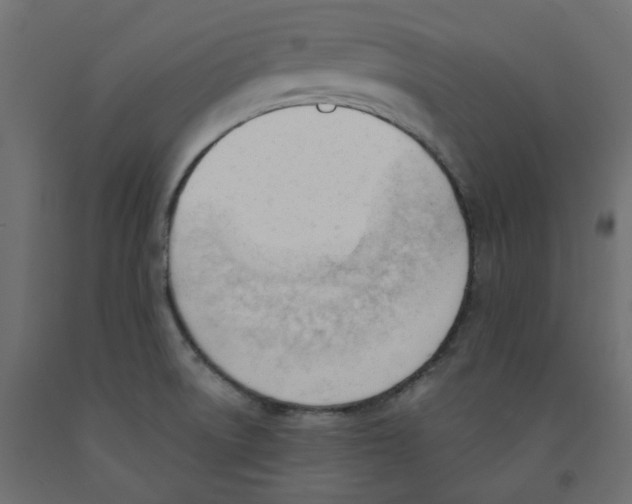 X0000091971522200710041039