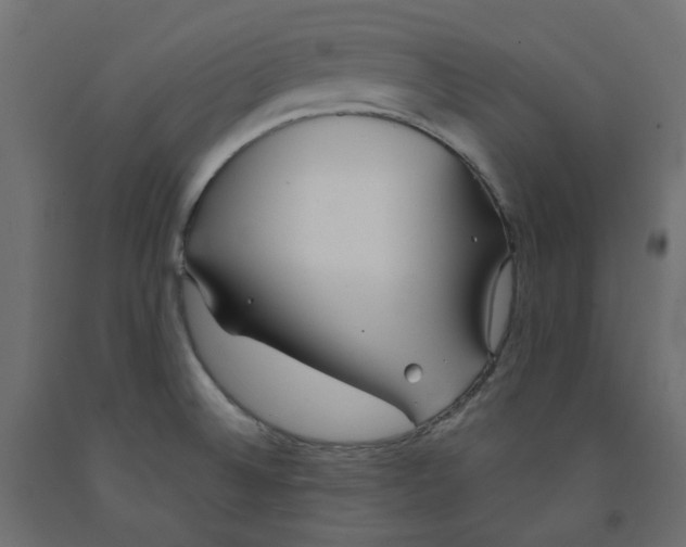 X0000091971524200710041039