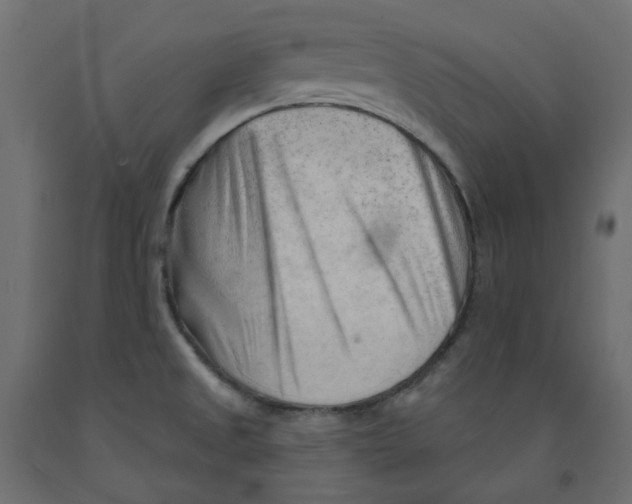X0000091971525200710041039