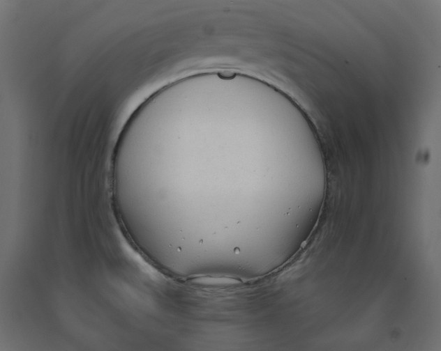 X0000091971527200710041039